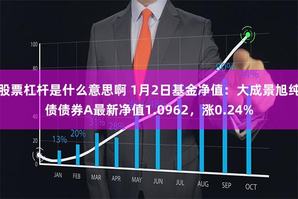 股票杠杆是什么意思啊 1月2日基金净值：大成景旭纯债债券A最新净值1.0962，涨0.24%