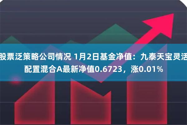 股票泛策略公司情况 1月2日基金净值：九泰天宝灵活配置混合A最新净值0.6723，涨0.01%