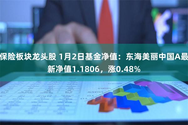保险板块龙头股 1月2日基金净值：东海美丽中国A最新净值1.1806，涨0.48%