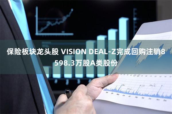 保险板块龙头股 VISION DEAL-Z完成回购注销8598.3万股A类股份
